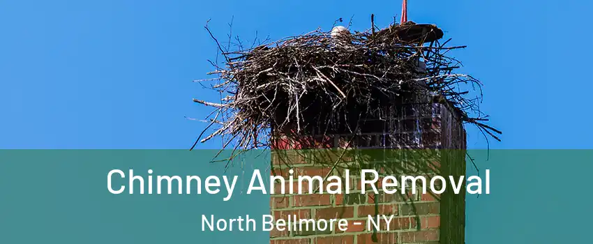  Chimney Animal Removal North Bellmore - NY
