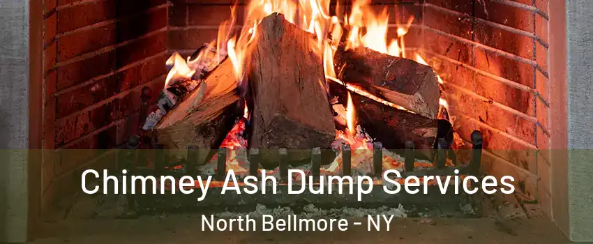  Chimney Ash Dump Services North Bellmore - NY