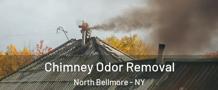  Chimney Odor Removal North Bellmore - NY