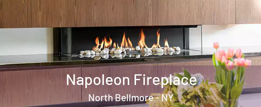  Napoleon Fireplace North Bellmore - NY